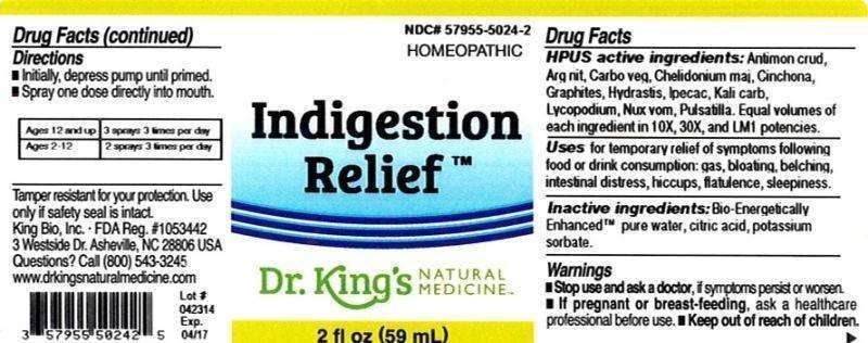 Indigestion Relief